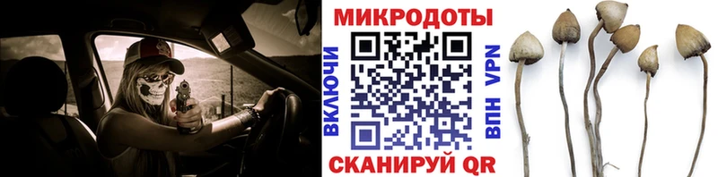 Галлюциногенные грибы ЛСД Каменск-Шахтинский